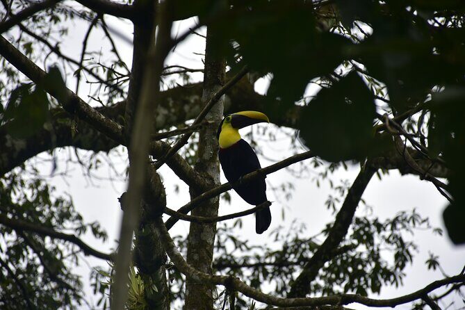 Guided ATV Adventure  Mud, Rivers, and Nature - Final Verdict