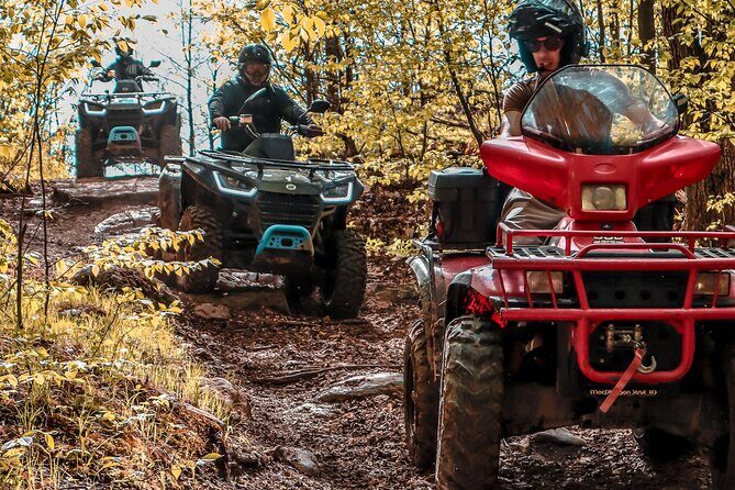 Guided ATV Adventure Tours in Kaladar - What to Expect on Your ATV Tour in Kaladar