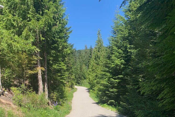 Guided Bike /E-bike Tour in Whistler From Vancouver - Frequently Asked Questions