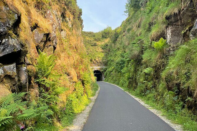 Guided Bike Ride: Exploring the Limerick Greenway - In-Depth Review: What to Expect on the Greenway Bike Ride