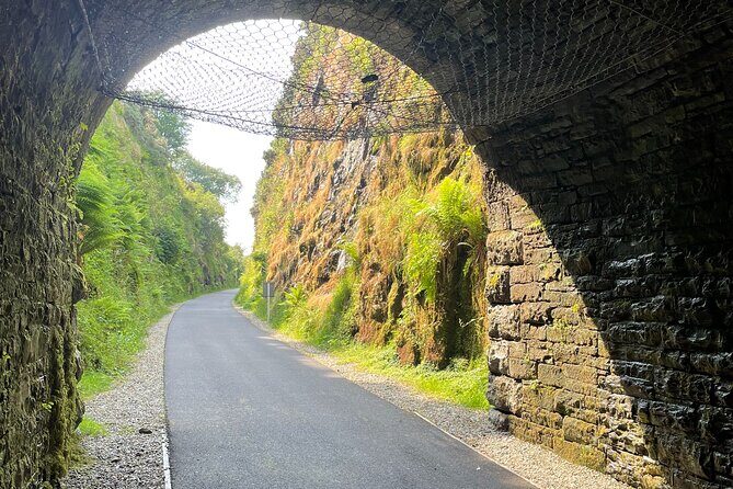 Guided Bike Ride: Exploring the Limerick Greenway - Authentic Insights from Travelers