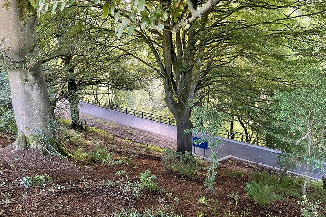 Guided Bike Ride: Exploring the Limerick Greenway - The Sum Up