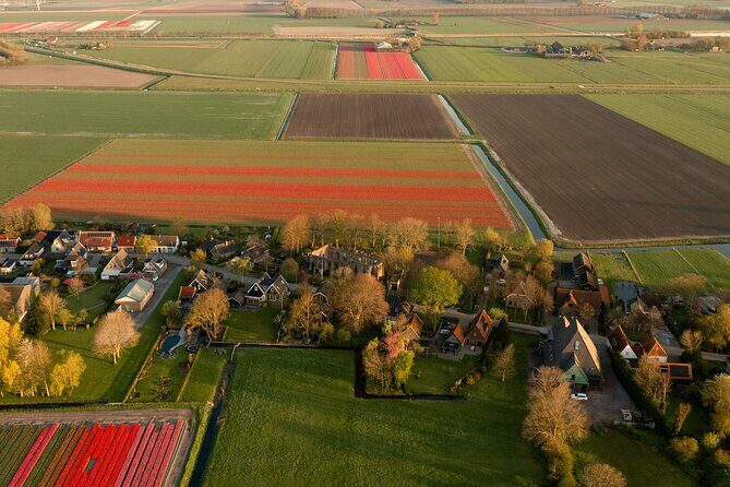 Guided Bike Tour along the Dutch Tulip Fields in Noord Holland - In-Depth Review: Exploring the Authentic Dutch Tulip Fields by Bike