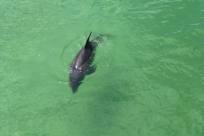 Guided Bike Tour - Downtown Naples Florida - An In-Depth Look at the Naples Guided Bike Tour