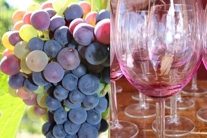 Guided Bike Tour on Historical Kettle Valley Railway at Myra Canyon & Wine Tour - The Practicalities of the Tour