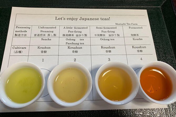 Guided Bike Tour to a Green Tea Farm in Shizuoka (not e-bikes) - Key Points