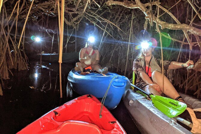 Guided Bioluminescence Night Kayaking Adventure in Belize - Guided Bioluminescence Night Kayaking Adventure in Belize: A Deep Dive
