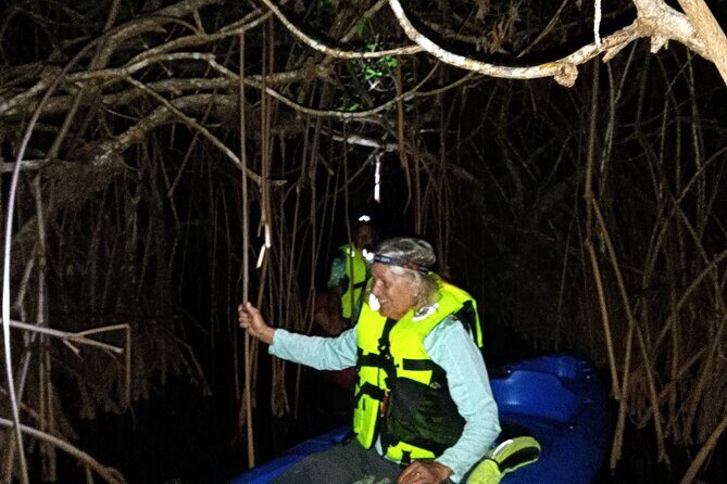 Guided Bioluminescence Night Kayaking Adventure in Belize - Who Is This Tour Best For?