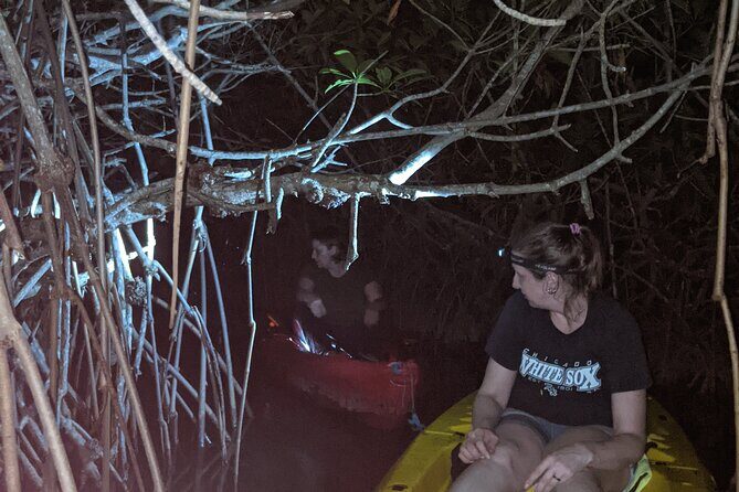 Guided Bioluminescence Night Kayaking Adventure in Belize - FAQ