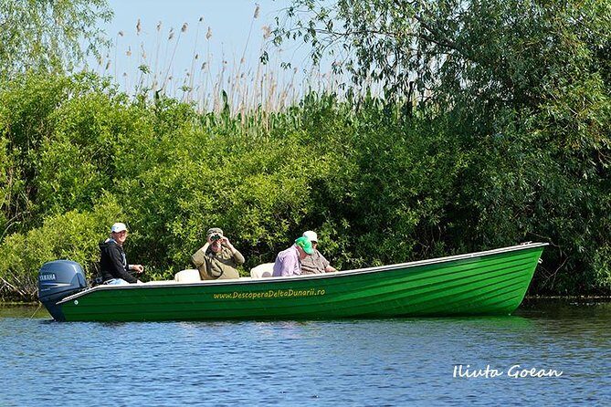Guided Birdwatching day trip to the Danube Delta - private program - Experience the Danube Delta Like Never Before