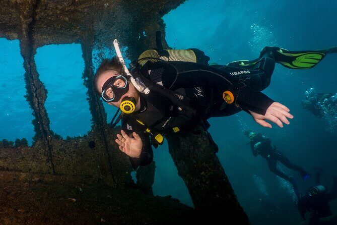 Guided Boat Dives for Certified Divers - Key Points