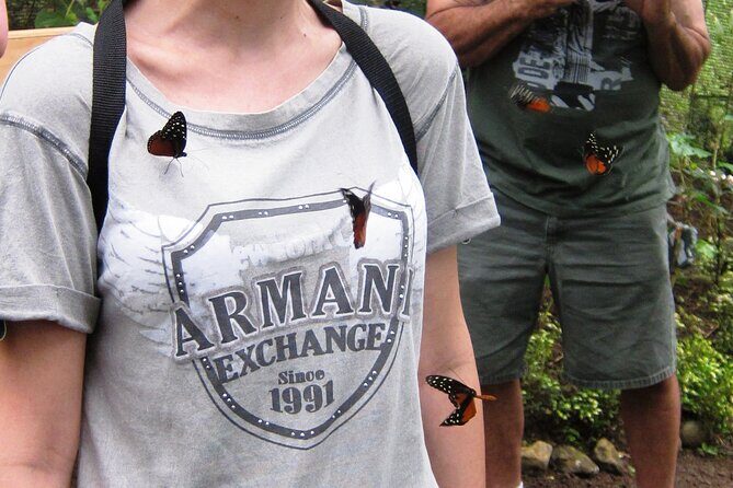 Guided Butterfly Conservatory Tour in Costa Rica - A Deep Dive Into the Butterfly Conservatory Experience
