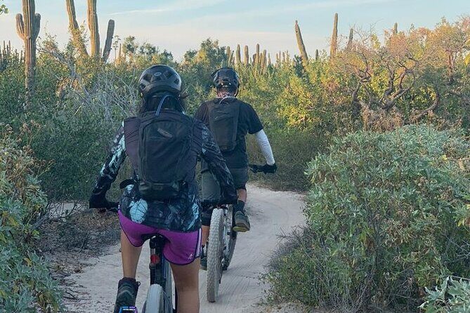 Guided Cactus Forest Mountain Bike Experience in La Ventana - An Authentic Ride Through La Ventana’s Cactus Forest