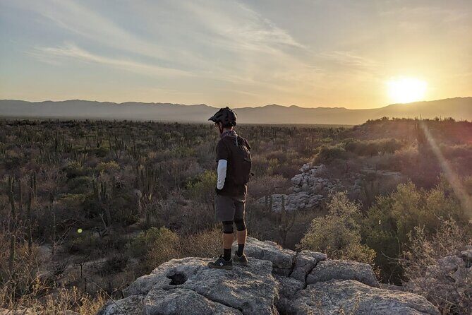 Guided Cactus Forest Mountain Bike Experience in La Ventana - FAQ