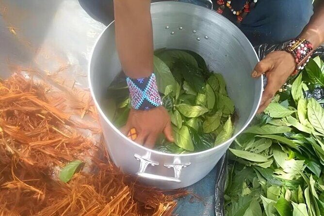 Guided Ceremony in Brazil - FAQ