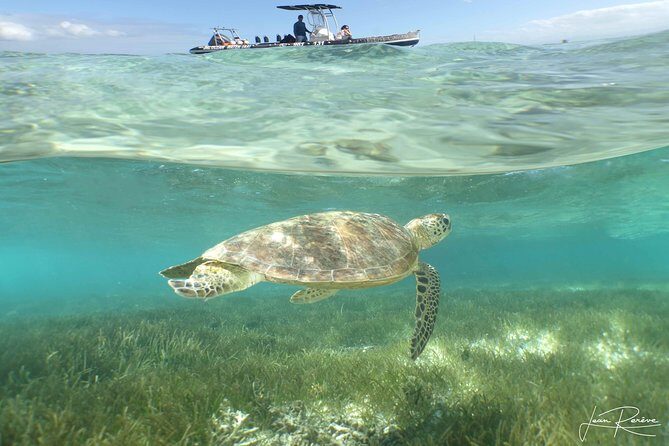 Guided City Orientation Tour of Noumea - Final Thoughts