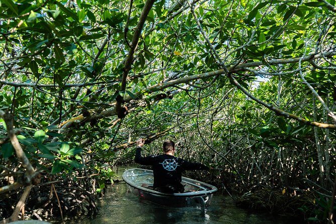 Guided Clear Kayak Eco-Tour Near Key West - The Itinerary: What’s Included and What to Expect
