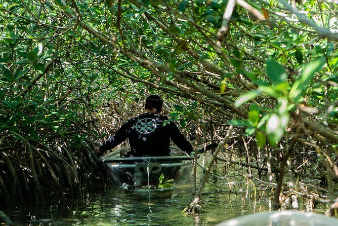 Guided Clear Kayak Eco-Tour Near Key West - Challenges and Considerations