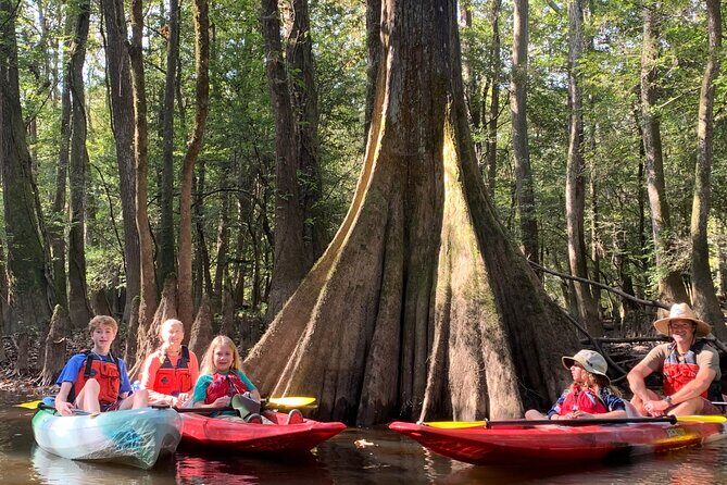 Guided Congaree National Park Kayak Tour - Exploring Congaree National Park on a Guided Kayak Tour