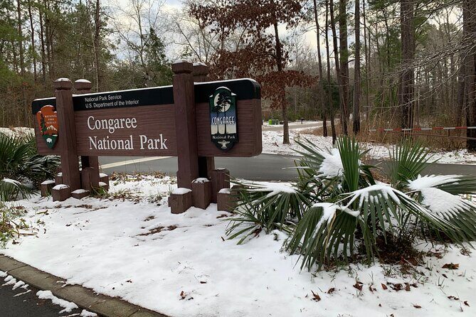 Guided Congaree National Park Kayak Tour - Final Thoughts