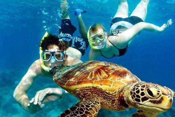 Guided Coral Reef Snorkeling Tour - What Reviewers Are Saying
