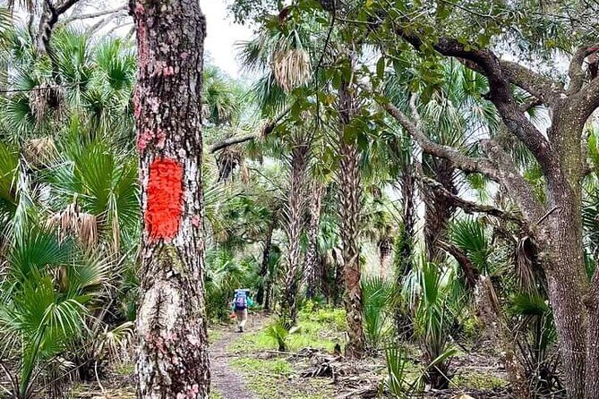 Guided Day Hike Through Florida's wild Backcountry. - What Travelers Are Saying