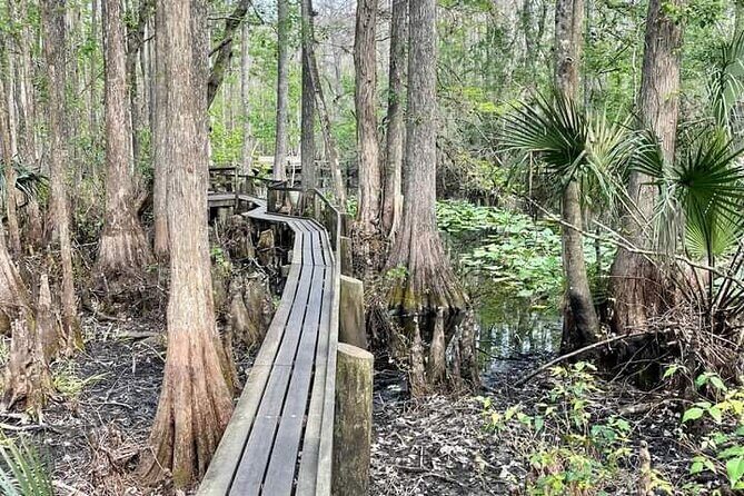 Guided Day Hike Through Florida's wild Backcountry. - Frequently Asked Questions