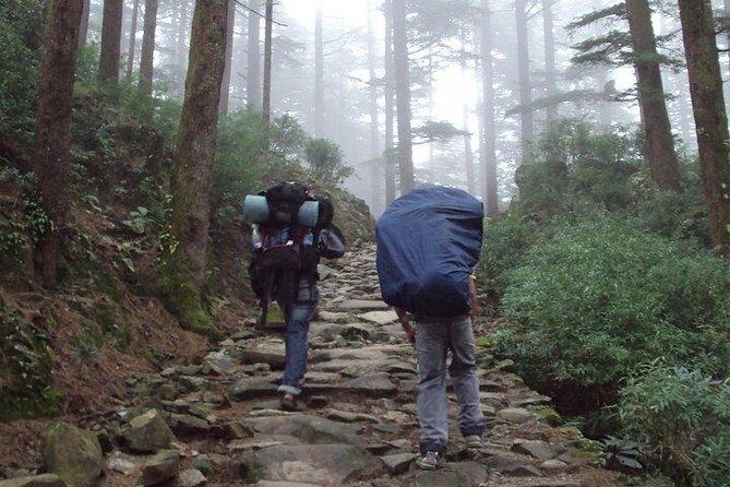 Guided Day Hike to Guna Devi Temple from Mcleodganj - Key Points