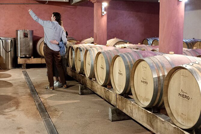 Guided Day Tour and Wine Tasting Northern Rhône Valley - Value and Price Analysis