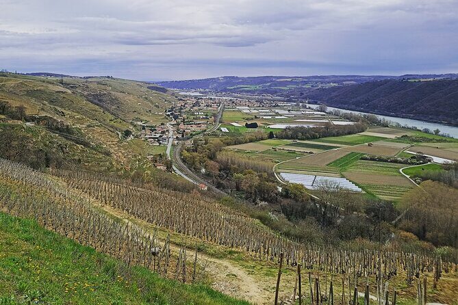 Guided Day Tour and Wine Tasting Northern Rhône Valley - The Sum Up: Is This Tour Right for You?