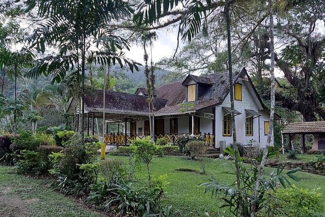 Guided Day Tour at Lopinot Plantation Estate - Key Points