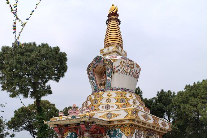 Guided Day Tour to Bir  Monasteries,Temple & Tea Garden Visit - Key Points