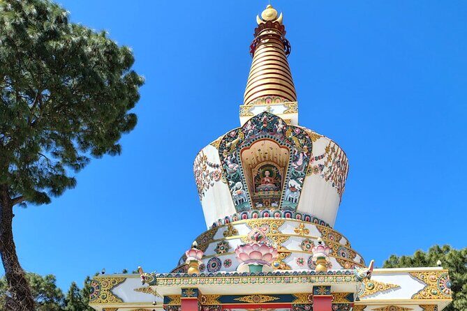 Guided Day Tour to Bir  Monasteries,Temple & Tea Garden Visit - FAQs