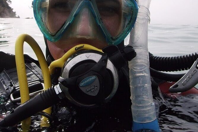 Guided dive for certified divers - Key Points