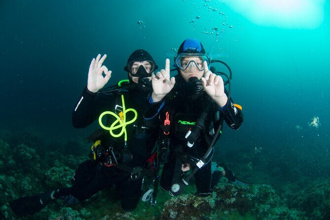 Guided diving for beginners without certification from Sorrento - Practical Details and Tips