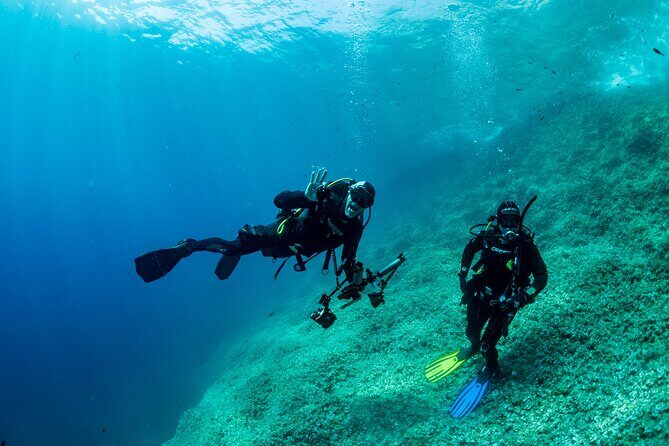 Guided diving for beginners without certification from Sorrento - Who Should Consider This Tour?