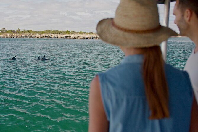 Guided Dolphin Eco-Cruise in Koombana Bay - A Detailed Look at the Guided Dolphin Eco-Cruise Experience