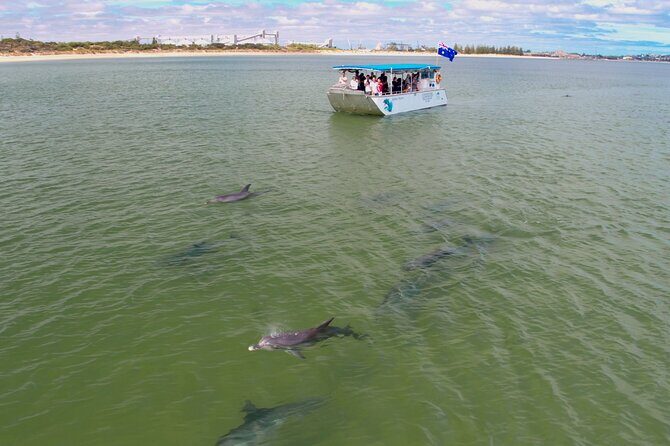 Guided Dolphin Eco-Cruise in Koombana Bay - Practical Tips for Your Dolphin Eco-Cruise