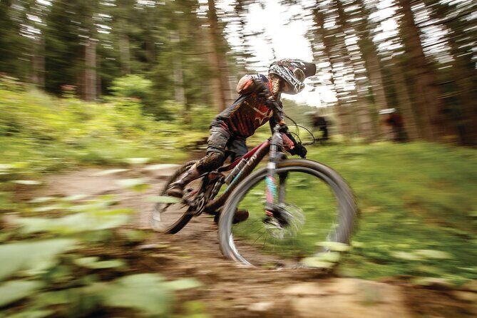Guided downhill biking at Bikepark Innsbruck - Who Will Love This Experience?