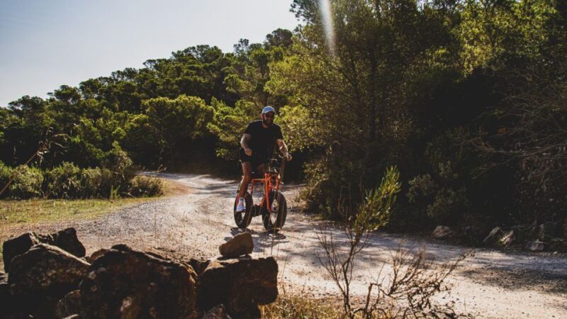 Guided E-Bike Tour Ibiza - Key Points