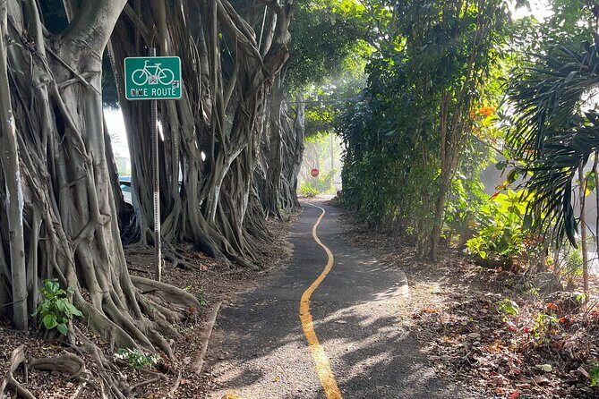 Guided E-Bike Tour in North Shore - Authentic Experiences and Traveler Feedback
