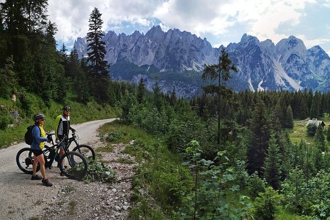 Guided e-bike tour of the alpine pastures in the Salzkammergut - The Value Proposition