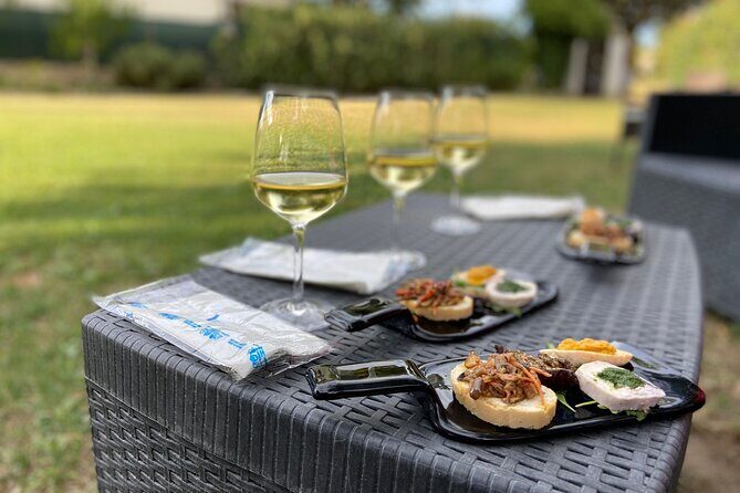 Guided E-Bike tour with food and wine tasting. - A Complete Guide to the Guided E-Bike Tour with Food and Wine Tasting in Marche, Italy