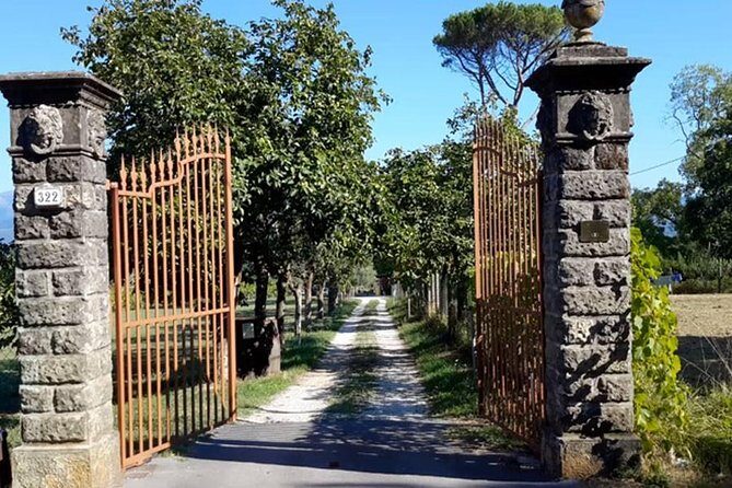 Guided E-Bike Tour with Wine Tasting from Lucca - A Detailed Look at the Lucca E-Bike & Wine Tour