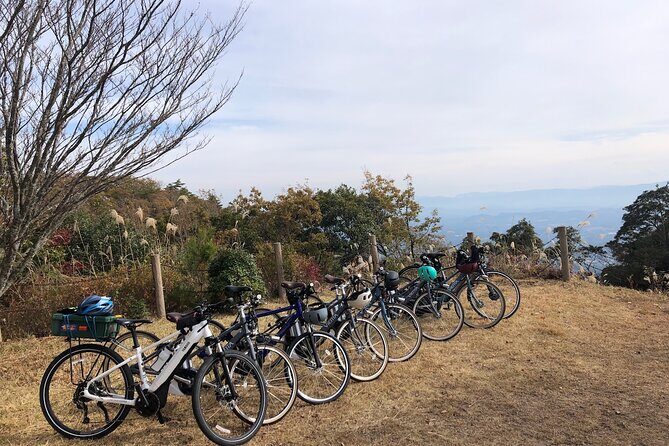 Guided e-Bike Tours in Bungoono City - Guided e-Bike Tours in Bungoono City: A Detailed Review