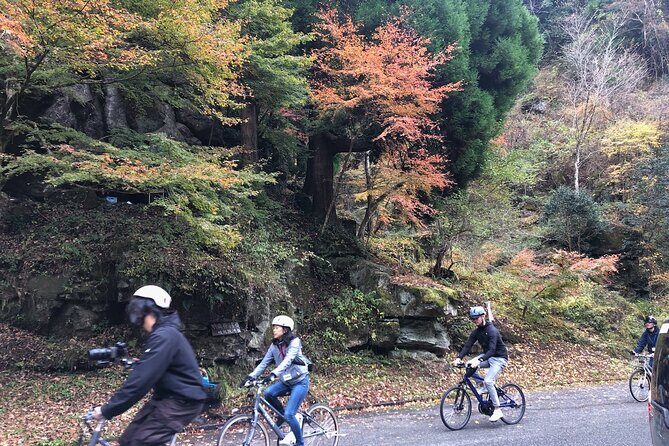 Guided e-Bike Tours in Bungoono City - Who Should Consider This Tour?