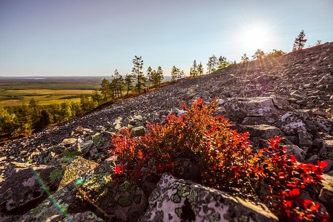 Guided easy hike in Finland deepest gorge in Pyhä-Luosto National Park - An In-Depth Look at the Pyhä-Luosto Gorge Guided Hike