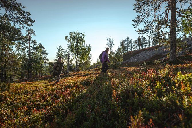 Guided easy hike in Finland deepest gorge in Pyhä-Luosto National Park - Frequently Asked Questions