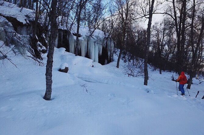 Guided easy snowshoeing with a visit to local café - A Closer Look at the Tromso Snowshoeing Tour