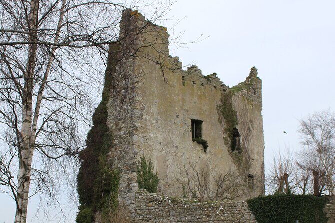 Guided eBike Tour - Killaloe and the Lough Derg Shore - What’s Included and What to Keep in Mind